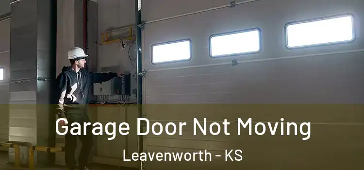  Garage Door Not Moving Leavenworth - KS