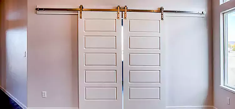 Glass Barn Door with Installation Hardware Kit Leavenworth