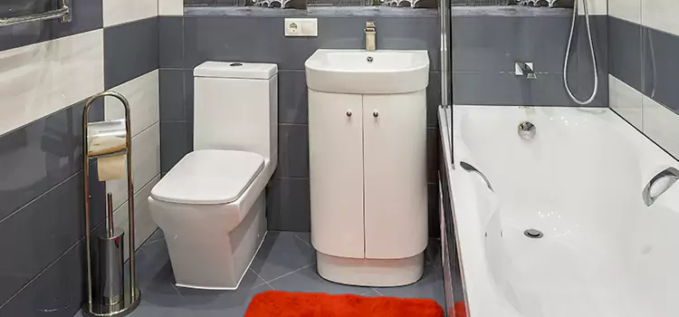 Hansgrohe Shaving Mirror Leavenworth
